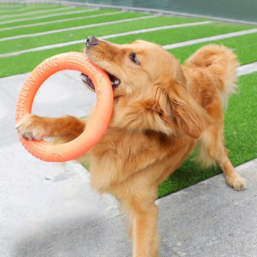 Indestructible Dog Chew Toy - 1 adet turuncu köpek oyuncaklar Pet