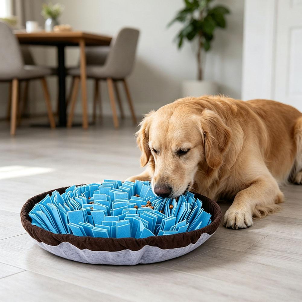 Köpekler İçin Etkileşimli Besl - Dog Puzzle Feeder Toy incelemesi ve fiyatı