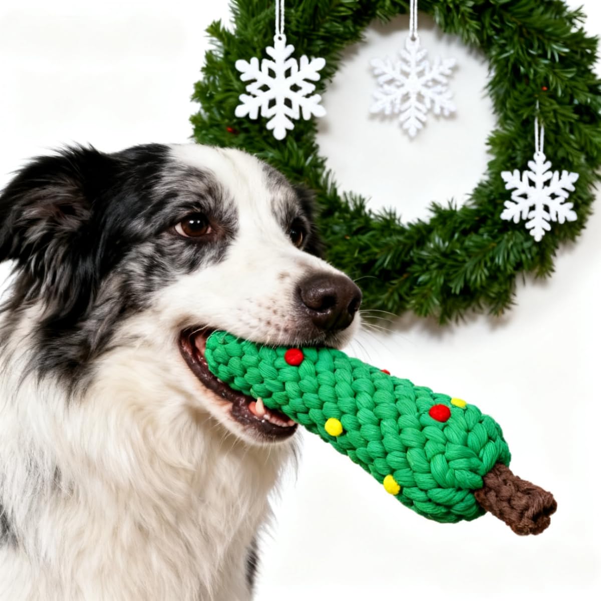 Yavru Köpekler İçin Diş Temizl - Teeth Cleaning Dog Chew Bone incelemesi ve fiyatı